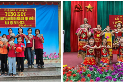 Giới thiệu về tổ chuyên môn 4-5