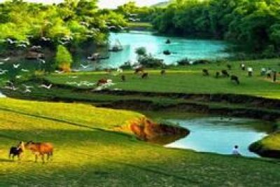 Củng cố vốn từ ngữ để nâng cao hiệu quả viết văn cho học sinh lớp 5